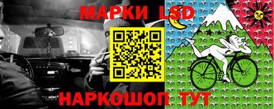 стаф Кингисепп