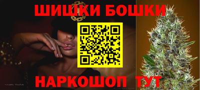стаф Кингисепп