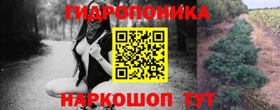 2c-b Кинель