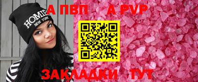 стаф Кингисепп