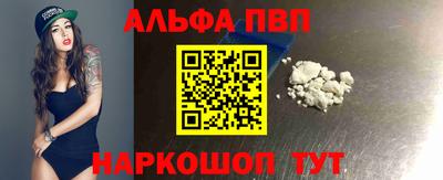 стаф Кингисепп